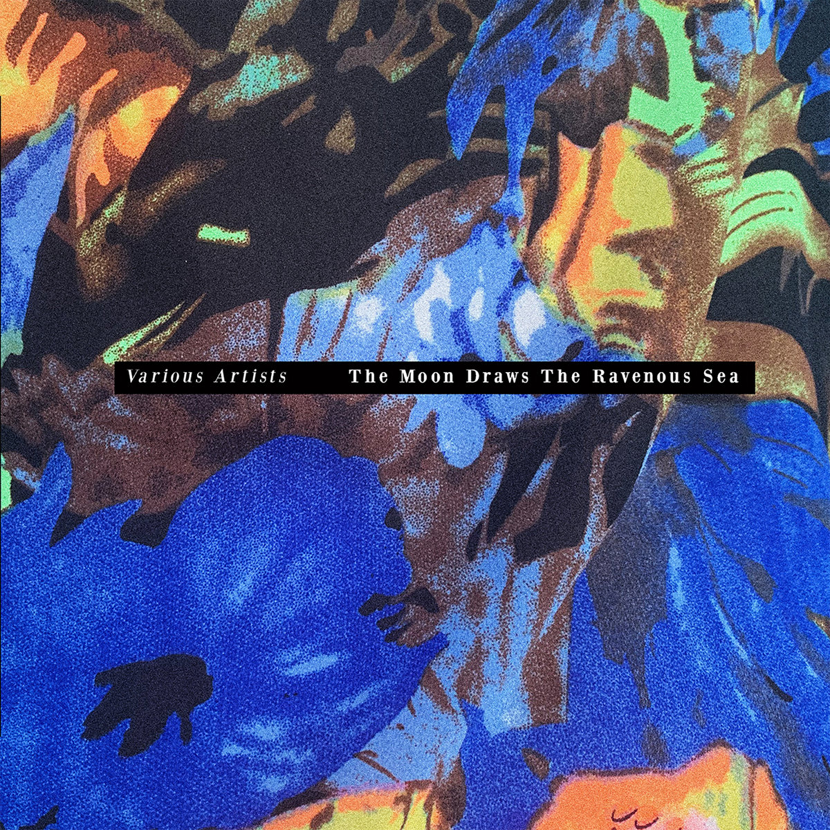 Album cover of *The Moon Draws The Ravenous Sea*.